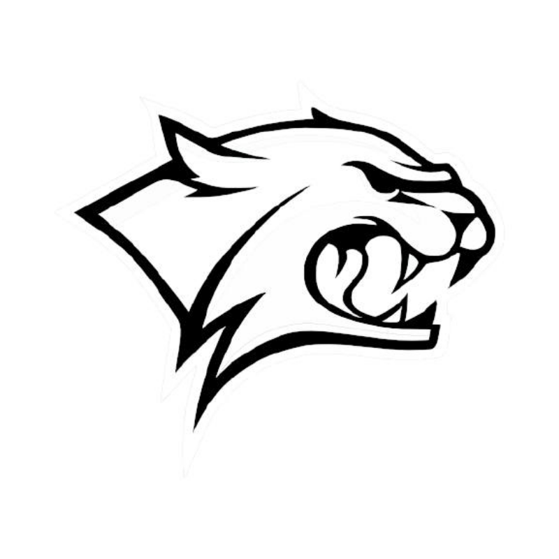 Wildcat Dumpster Rentals